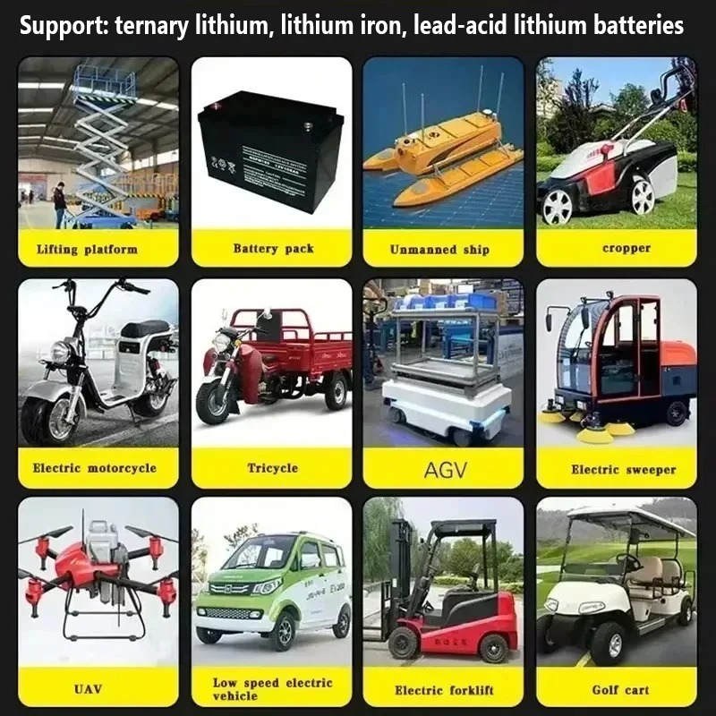 48V 60V 72V 30A Intelligence L - 84V 20A Smart Charger ulasan dan harga